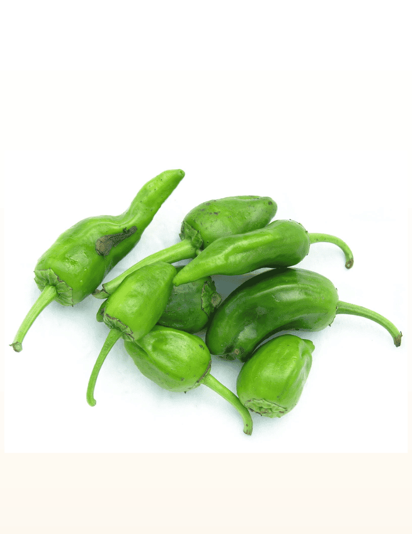 Mini Poivron Padrón